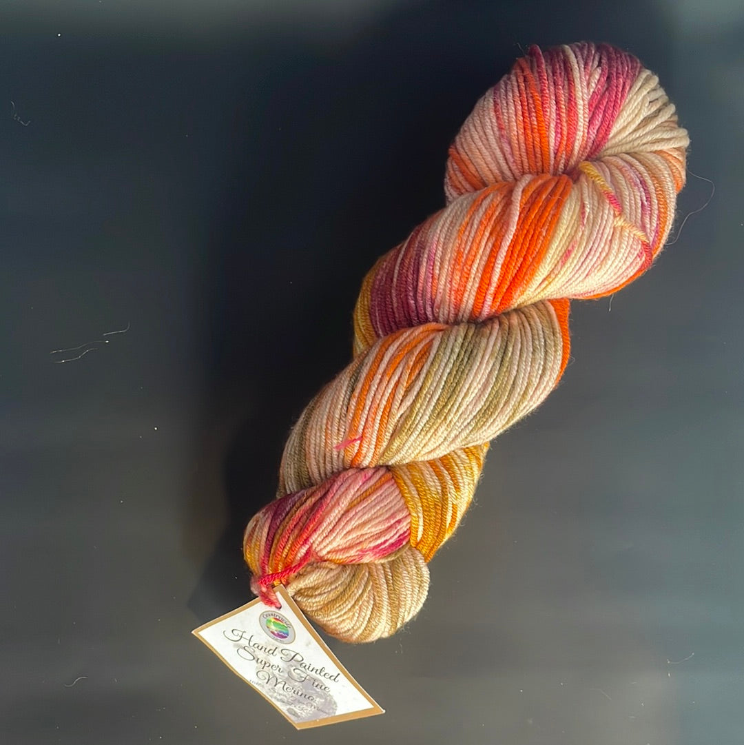 Country Wide hand painted merino 100g dk