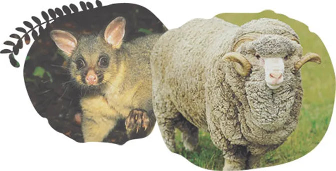 Brushtale merino possum yarn 4ply