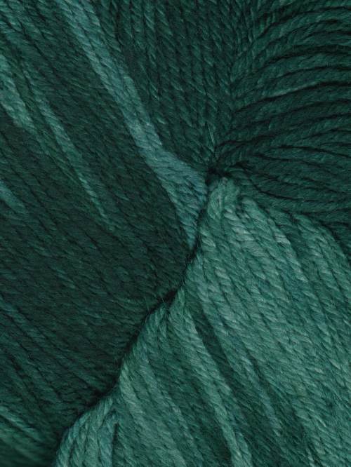 Araucania Huasco Sock Kettle Dyes 100g